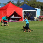 mt Gambier show 19th April 2014 003_cropped